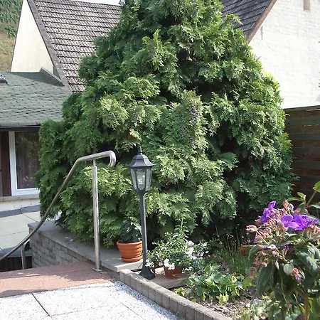 Tilli زيل ان دير موسل