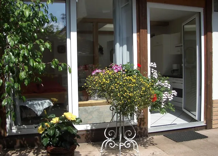 Tilli * زيل ان دير موسل